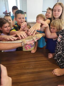 V Peterlougu pripravili 2. poletne počitnice 23